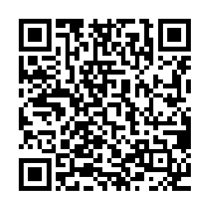 白娇和龙华俩人得到消息也立刻放下了手里的活计跑过来迎接二维码生成
