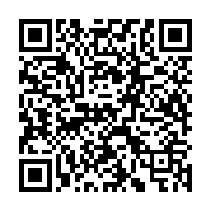 白娘子和小玉姐如今正在会议室跟大理来的商人谈生意二维码生成