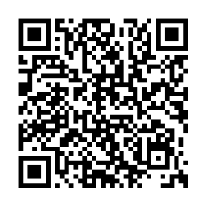 白子河顿时又是一脚狠狠的踢在吴越的小腹之上二维码生成