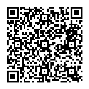 白子良无法忘记自己在星宿海戡乱会时在六国中拿了倒数第一名回去后所受到的羞辱二维码生成