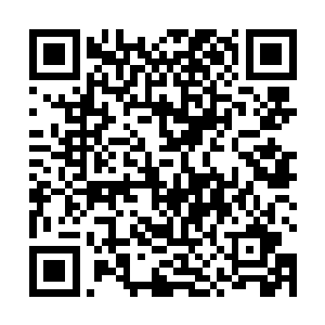 白家也成为了大秦帝国的那些超级大家族当中的笑柄了二维码生成