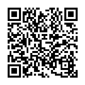 白家会再次以飓风般的高姿态闪耀在所有大众的视线里二维码生成