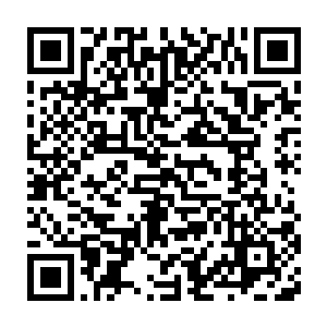 白家还有天机一族以至于昊家的所有弟子全都是经历了同样的一幕二维码生成