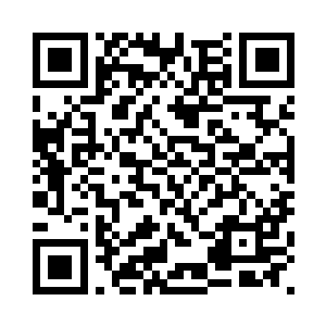 白小仙到现在还找不到合适的目标二维码生成