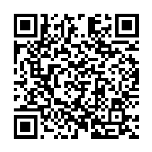 白小飞一时想不到任何对抗巨人尸兄的法子--冷兵器二维码生成