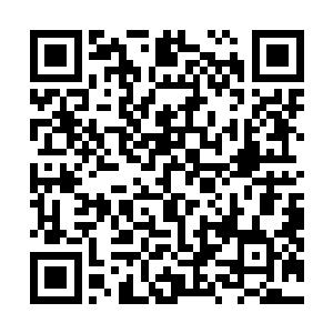 白小飞也注意到了跟在自己身后如同小尾巴一样的菜菜子二维码生成