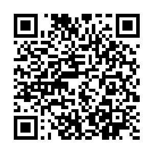 白小飞叔叔让我带领羽蛇怪一族参加对西方强盗的战争二维码生成