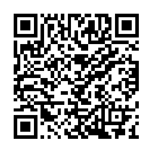 白小飞听到侦察机轰鸣着调头向自己一行人飞来二维码生成