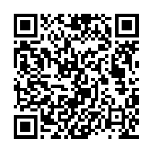 白小飞如今的成就最多也就是个多重变异的尸兄二维码生成