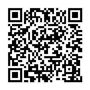 白小飞将母体树躯干分解成的板材拼在船的外壁二维码生成