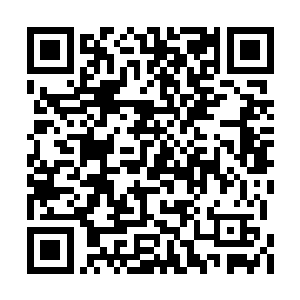 白小飞把鼻子都要气歪了--什么下面条生孩子二维码生成