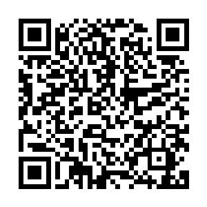 白小飞抬头看着图书馆楼顶那个一直呼呼睡觉的巨型婴儿尸兄二维码生成