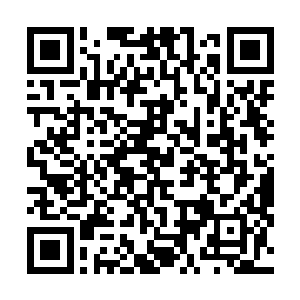 白小飞疯狂地吸纳着自己四周的狂野的太阳高能粒子风暴二维码生成