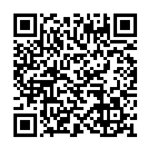 白小飞立刻想到了在回春堂巨人尸兄和初音尸兄二维码生成