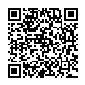 白小鹿和万藏海则蜷缩在离车不远的一顶沙漠迷彩帐篷里二维码生成