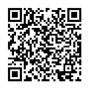 白山也是第一时间就掏出来自己的打火机给点上了二维码生成