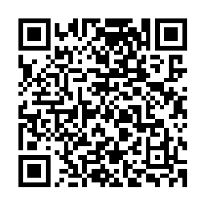 白希却线条起伏优美的身体便这般尽数展露在安平郡主的面前二维码生成