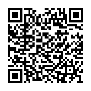 白帝能轻易将此行重任放在一个小小少年身上吗二维码生成