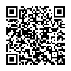 白彪见那鳄蛟王依旧是一副恨不得扑上前去跟吴岩拼命的模样二维码生成