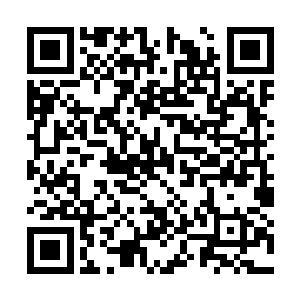 白志鹏和宗伟江竟然真的迫不及待的去找宗伟阳了二维码生成