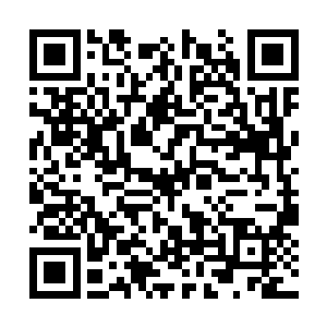 白总管说多半是二爷送过来给大少爷当通房丫头的二维码生成