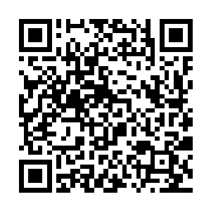 白振东和杜玉婷两个人的脸上瞬间洋溢着喜悦的表情二维码生成