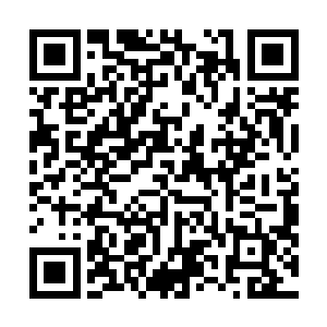 白振东哼着歌跟林若烟朝新华小区那个门口晃晃荡荡走去二维码生成