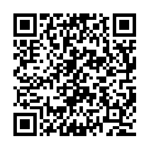 白振东就翻开手里的菜谱对杜玉婷用中文介绍道二维码生成