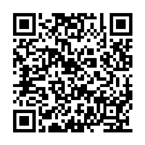 白振东用宽敞和豪华这四个字来形容有点不恰当二维码生成