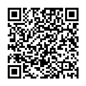 白振东都不知道这个叫曲苗苗的女人跟自己玩什么花样二维码生成