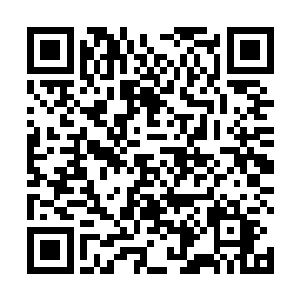 白昊也想知道自己额头上的这枚晶体印记到底有什么用二维码生成