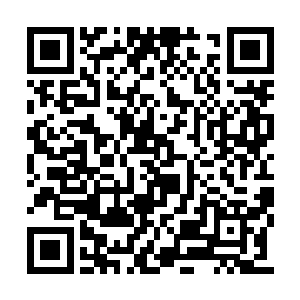 白昊他们下来的地方差不多是整个溶洞的最高点二维码生成