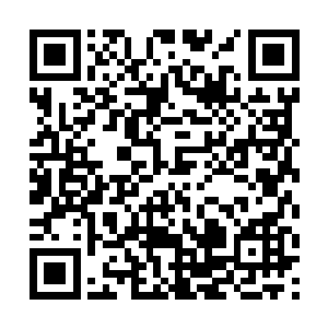 白昊只觉全身各处无处不在的压力压迫着身体每一处二维码生成