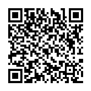 白昊已经迫不及待想要见识一下这颗神奇的星球了二维码生成