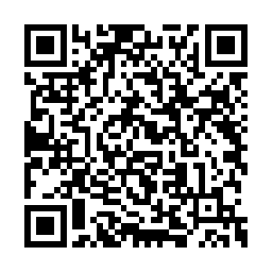 白昊的提议终归是让大家看到了一丝回家的曙光二维码生成