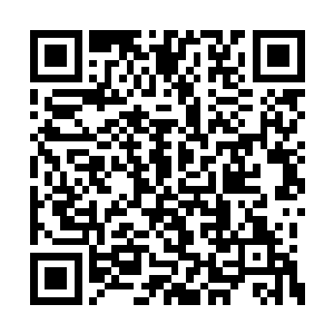 白昊看向被异形寄生的吸血鬼伯爵和俄罗斯枪王二维码生成