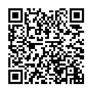 白昊能看到里面有若干个少年正在做着艰苦的修行二维码生成