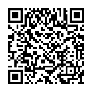 白晨他们三个已经在路上通过其他人了解了很多二维码生成