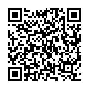 白晨和白礼还有幸三个人离的近干活的时候自然也就在一起二维码生成