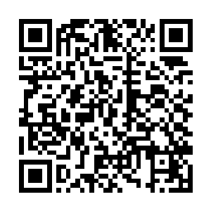 白月夜拿出一颗绿色的丹药捏成粉末洒在剑尘的身上二维码生成