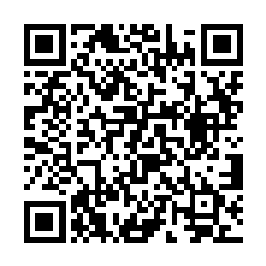 白木却是又一次站了出来挡在了秦宇和小女孩的面前二维码生成