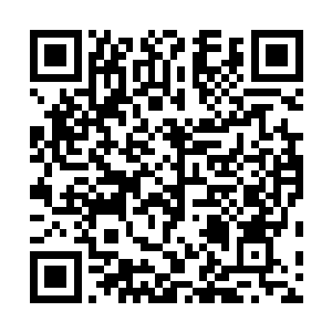 白森森的应急灯在已然变成白茫茫一片的洼地中四处晃荡二维码生成
