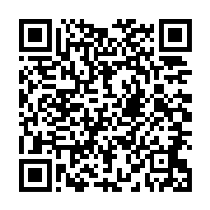 白河谷地的城堡里就多了一堆北方的荒地骑士来护驾了二维码生成