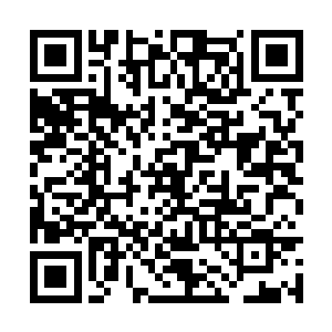 白河谷地的警备队二十人已经在她身后完成了集结二维码生成