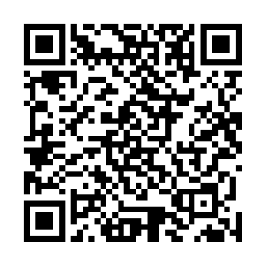 白河谷地警备队的小伙子们的怒火得到了一定程度的释放二维码生成