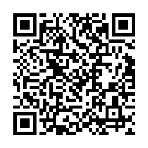 白泽是知道玄天冥昨晚到郡主府去警告了姚氏一番的二维码生成