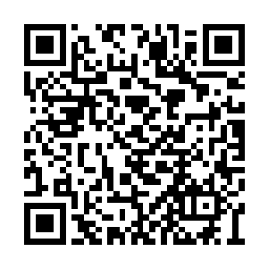 白浅诺似乎也感觉后面有两道目光正在注视着她二维码生成