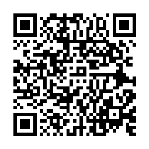 白浩的眼光只是在秦宇身上扫了一眼之后便是直接无视了秦宇二维码生成