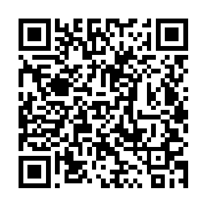 白熙颜的一支大手掌也遮天蔽日地朝着许星繁拍了下来二维码生成