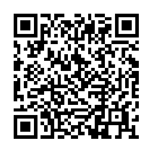 白熙颜给了王卧云和云飞凤两个人各自两张灵宝二维码生成